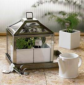 herb garden