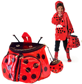 ladybug